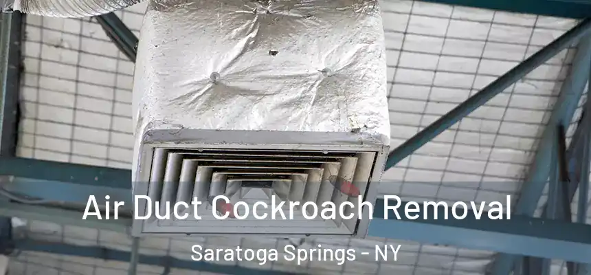 Air Duct Cockroach Removal Saratoga Springs - NY