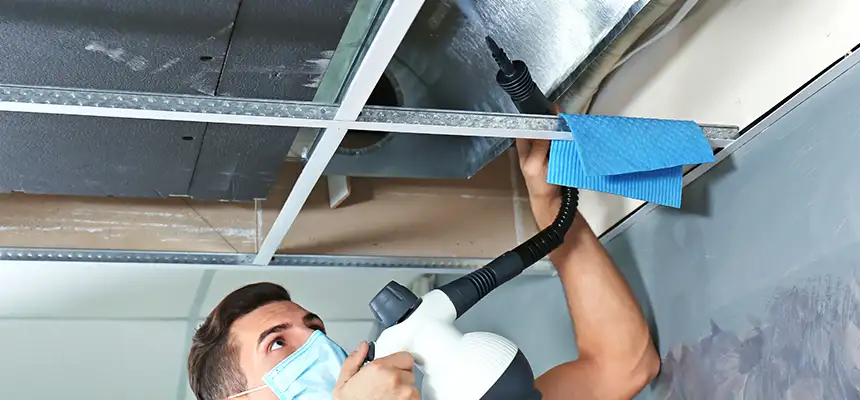 Our Air Duct Rodent Removal Services in Saratoga Springs, NY
