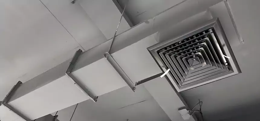 Our Rodent Droppings In Vents Services in Saratoga Springs, NY