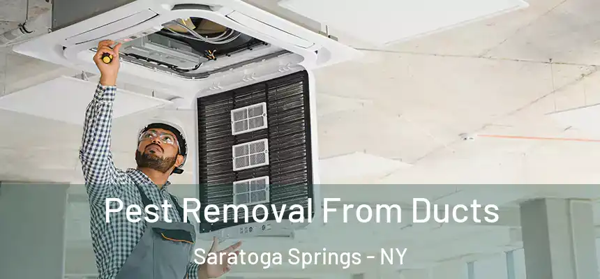 Pest Removal From Ducts Saratoga Springs - NY