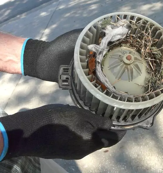 About Air Duct Mice Removal in Saratoga Springs, NY