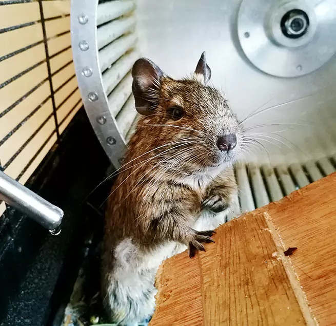 Why Homeowners & Businesses Trust Us Saratoga Springs, NY